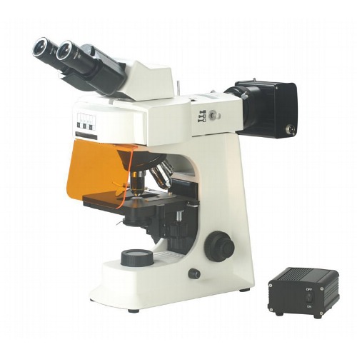 BS-2036F(LED) Fluorescent Biological Microscope