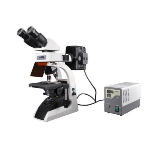 BS-2072F Fluorescent Biological Microscope