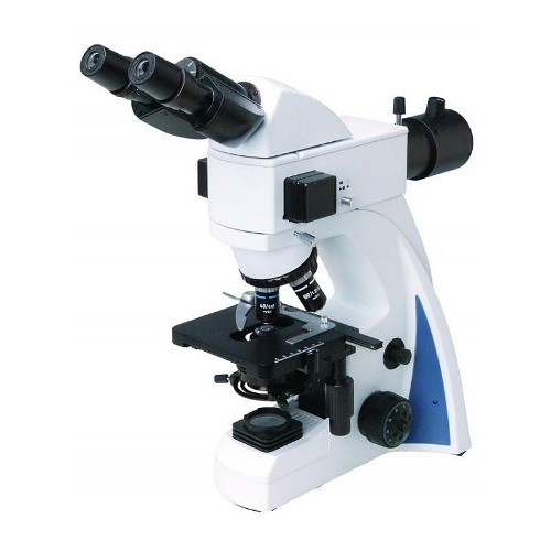 BS-2040F(LED) Fluorescent Biological Microscope